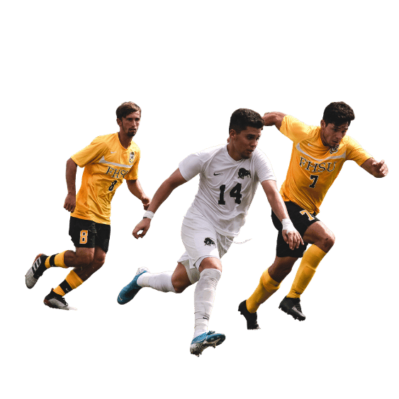 世界杯比分地址